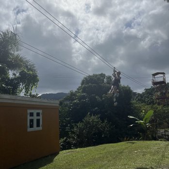 Rainforest Zipline Park - Tours Near Me - Rio Grande, Puerto Rico