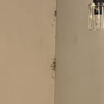 PURALIMA Cantina - Mexican Near Me - Edina, Minnesota