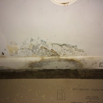Old Town Realty - mold after it was treated - Property Management Near Me - Ann Arbor, Michigan Old Town Realty - mold after it was treated - Property Management Near Me - Ann Arbor, Michigan