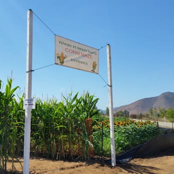 Pumpkin Station - Corn maze. - Farms Near Me - Escondido, California