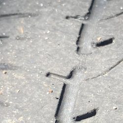 Avis Car Rental - The warning tread wear indicator is level with the tread, on a rental this shouldn't happen.