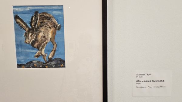 Arkansas Museum of Fine Arts by null