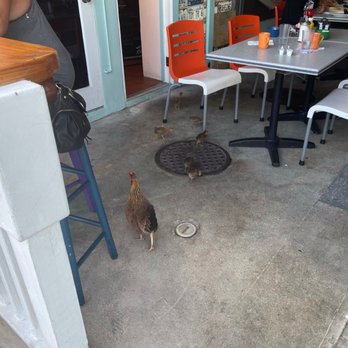 Harpoon Harry's - Outside seating - Breakfast & Brunch Near Me - Key West, Florida
