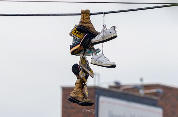 The Bushwick Collective by null