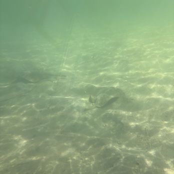 Glass Bottom Boat - Boating Near Me - Redondo Beach, California