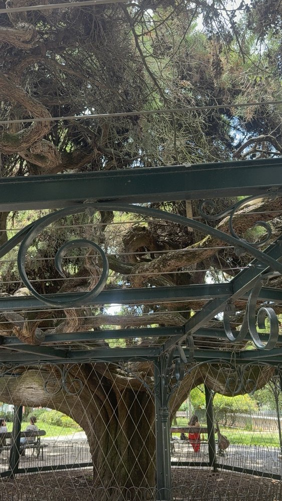 Jardim do Príncipe Real