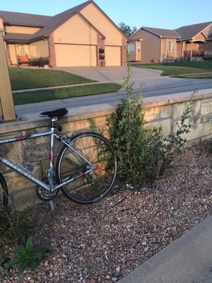 HOA Management Services