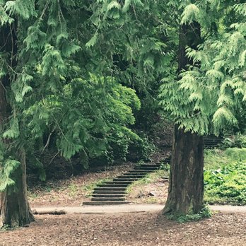 Washington Park Arboretum - Many winding paths - Parks Near Me - Seattle, Washington Washington Park Arboretum - Many winding paths - Parks Near Me - Seattle, Washington
