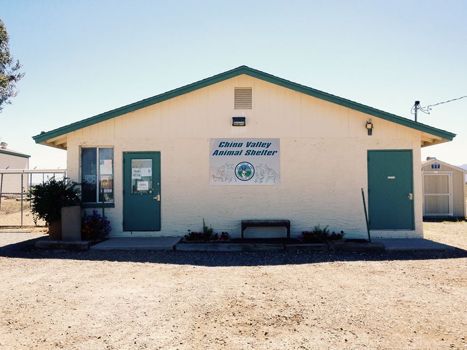 Chino Valley Animal Shelter Image