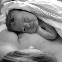 The Doula Hive