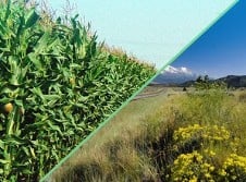 Slide of A-Affordable Sanitation