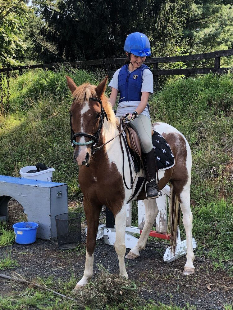 20/20 HORSEMANSHIP 34 Photos 39802 Thomas Mill Rd, Leesburg