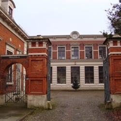 Koch & Bergfeld