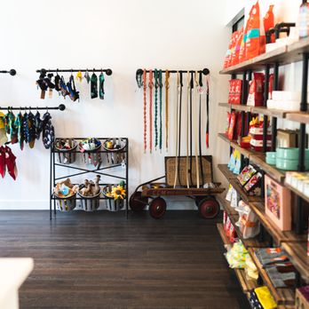 Wagsup - Pet Stores Near Me - Toronto, Ontario Wagsup - Pet Stores Near Me - Toronto, Ontario
