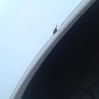 Star Ford Lincoln - The chip in my fender after picking it up from service - Car Dealers Near Me - Glendale, California Star Ford Lincoln - The chip in my fender after picking it up from service - Car Dealers Near Me - Glendale, California