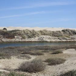 Pismo Dunes Natural Preserve - Looking eastward toward the Dunes
