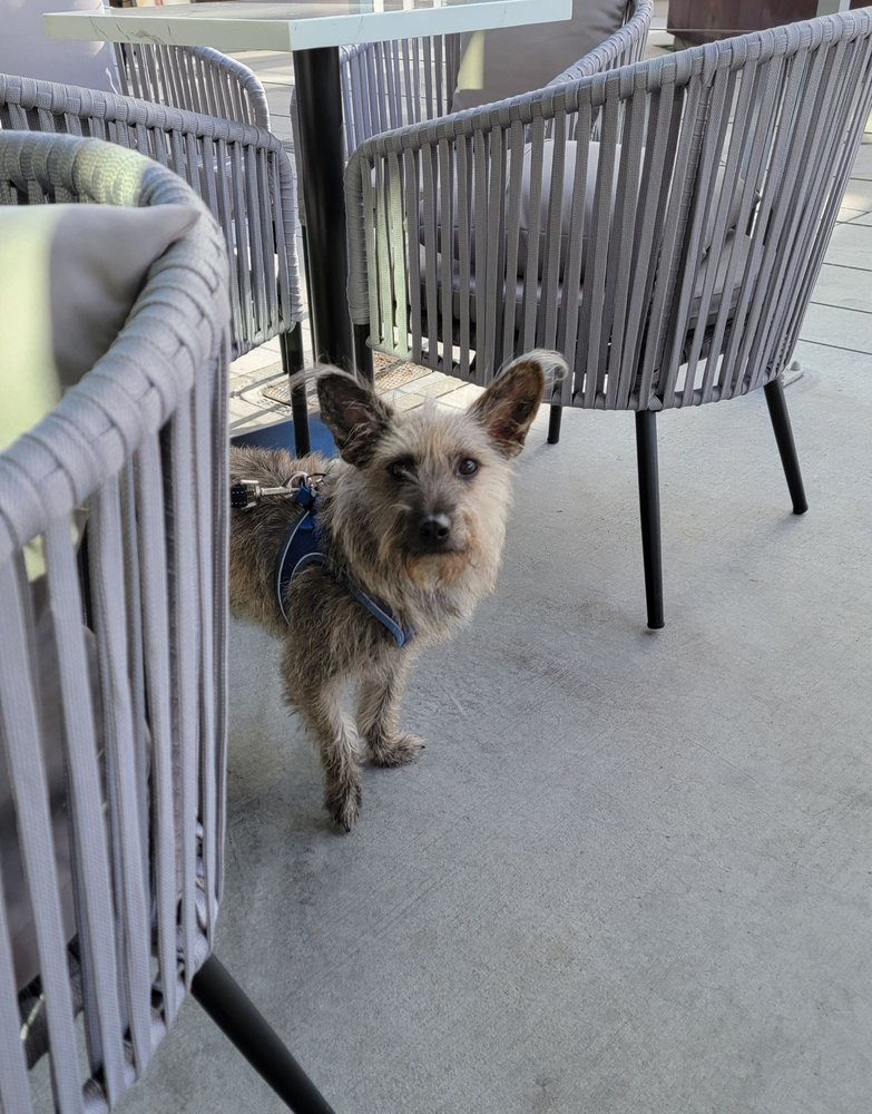 QARGO COFFEE LONG BEACH 52 Photos & 20 Reviews 707 E Ocean Blvd