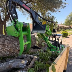 Orlando Tree Pro - Tree Removal Services Sanford, Florida