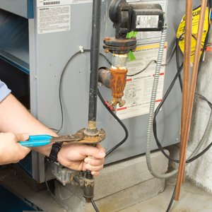 Slide of My Honey Can Do