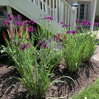 Bobbi's Gardens - purple flowers in front of a house - Gardeners Near Me Bobbi's Gardens - purple flowers in front of a house - Gardeners Near Me