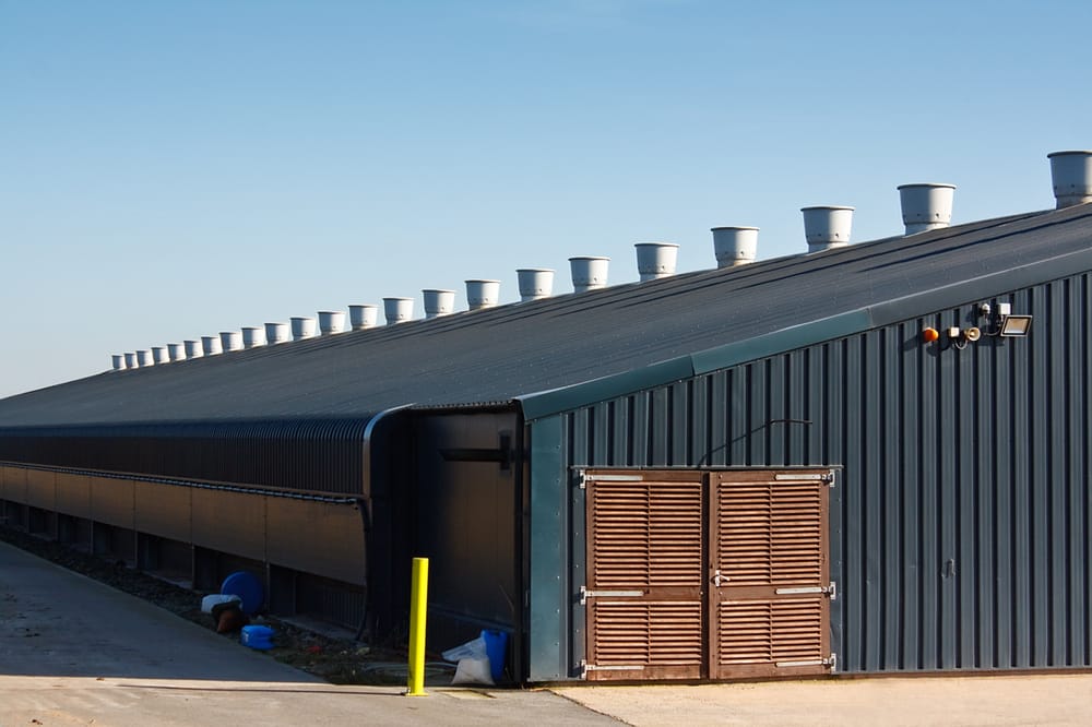 Slide of Roofing Corpus Christi