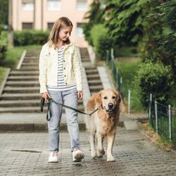 Karma Dog Training