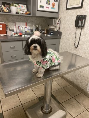 Vernon Woods Animal Hospital