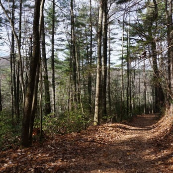 Gorges State Park - Rainbow Falls trail - Parks Near Me - Sapphire, North Carolina Gorges State Park - Rainbow Falls trail - Parks Near Me - Sapphire, North Carolina