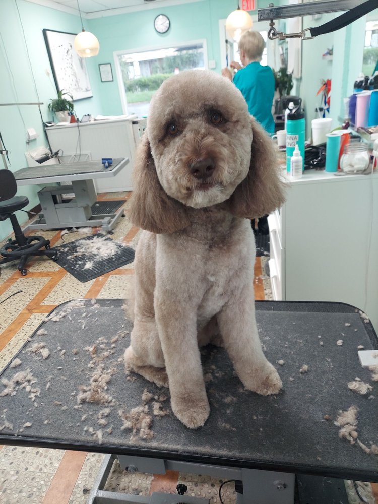 BURNICK GROOMING BY JANILLE Updated September 2024 17