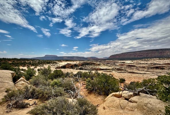 Natural Bridges National Monument by null