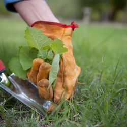 Lawn-Tek