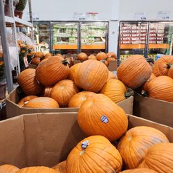 Costco Gasoline - Jumbo pumpkins $7