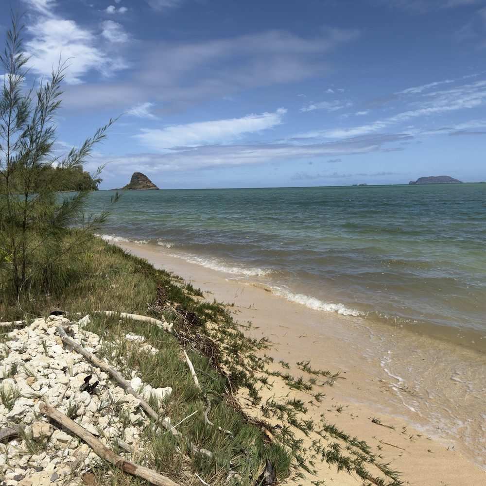 Secret Island - Beaches Near Me Secret Island - Beaches Near Me