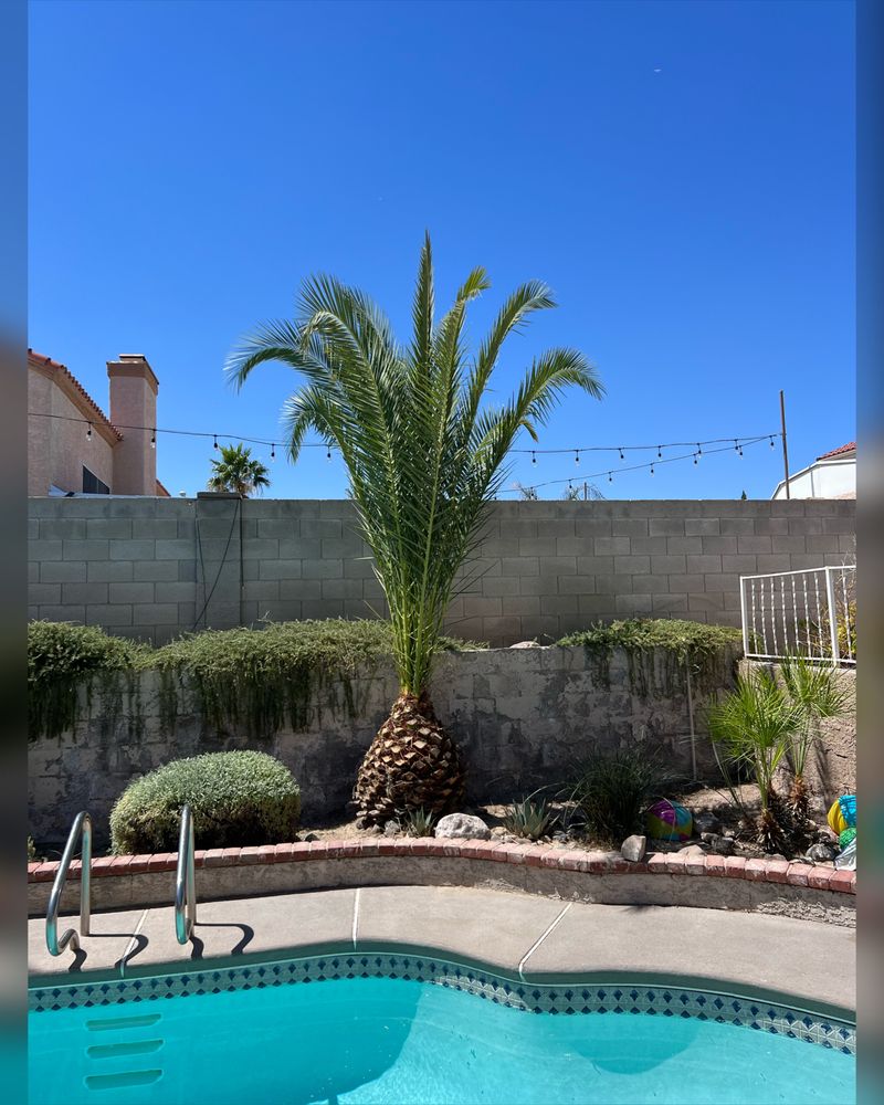 JR LANDSCAPING LLC Updated 2024 3620 La Junta Dr, Paradise, Nevada