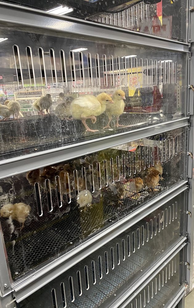 TRACTOR SUPPLY Updated August 2024 11 Photos 3001 Homer M Adams