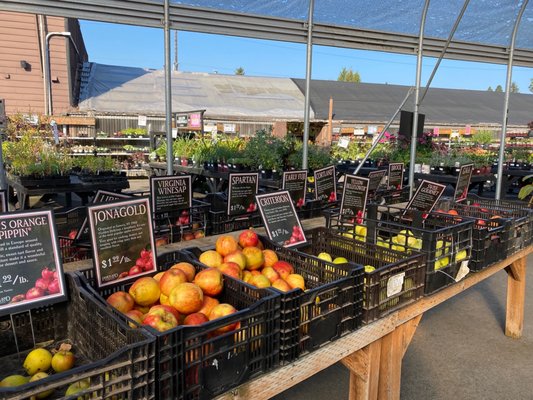 Portland Nursery by null