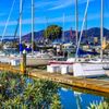 Marina Green Park gift card
