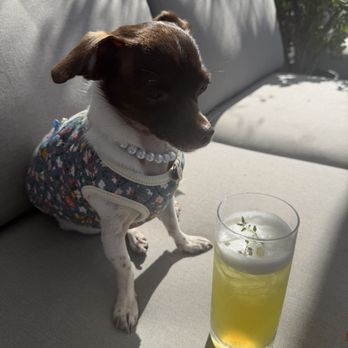 ELOREA - Frida enjoying the sun - Perfume Near Me - Los Angeles, California