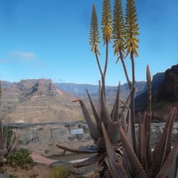 El Mirador de Fataga - El Mirador de Fataga / Gran Canaria / 2014, Copyright by mostro - Hamburg