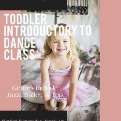 Avi's Dance Project - NOW OFFERING TODDLER CLASSES