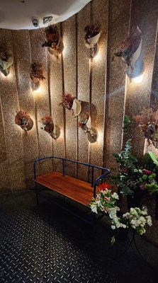 Floreria Atlántico by null