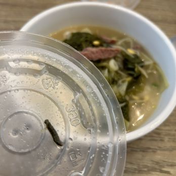 Jang Mo Jip - Found this maggot looking bug in our soup.... - Korean Near Me - Buena Park, California Jang Mo Jip - Found this maggot looking bug in our soup.... - Korean Near Me - Buena Park, California