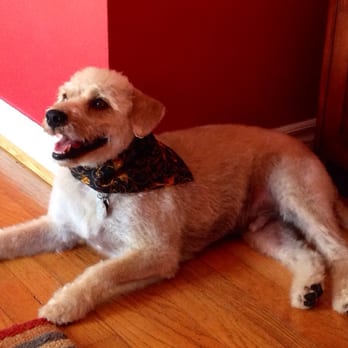 Spaw Day - Thank you Taryn!! - Pet Groomers Near Me - San Diego, California