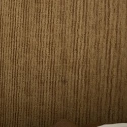 Ramada Hotel & Conf Center by Wyndham Augusta Downtown - Stains on carpet