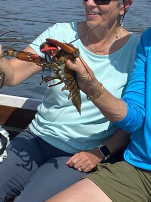 Rugosa Lobster Tours by null