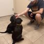 Photo of Chalco Hills Animal Hospital