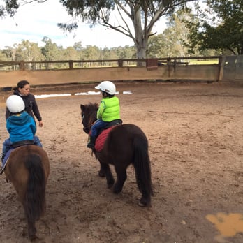 Tic Toc Equestrian - Horseback Riding Near Me - Freemans Reach, NSW