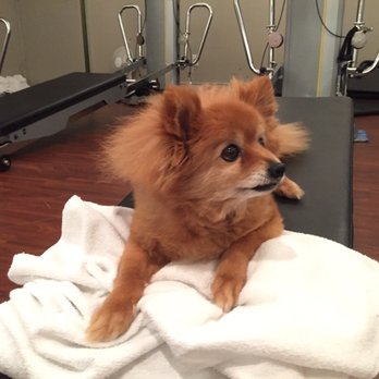 Tsquared Personal Training - #yvrchidog at TSquared personal training gravity class - Trainers Near Me - Vancouver, British Columbia Tsquared Personal Training - #yvrchidog at TSquared personal training gravity class - Trainers Near Me - Vancouver, British Columbia