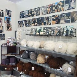 The Alpaca Gallery