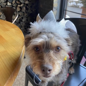 Three Dog Bakery - Pet Stores Near Me - Apple Valley, Minnesota